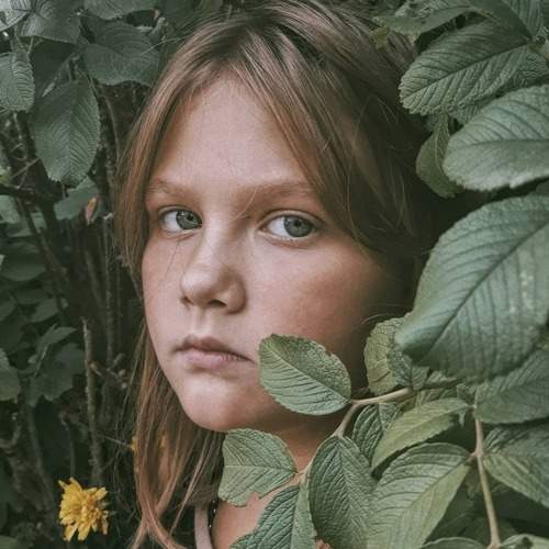 Photo #7113409