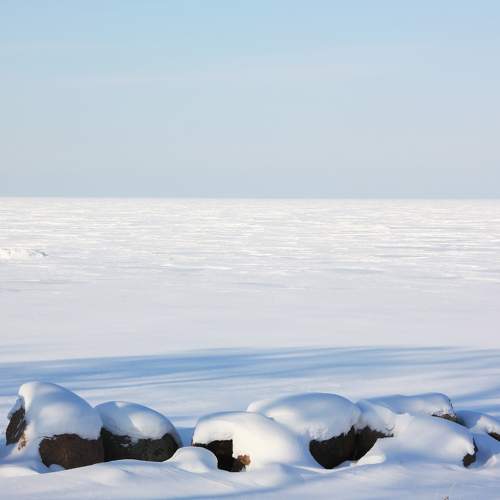 Photo #7113425