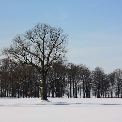 Photo #7113433