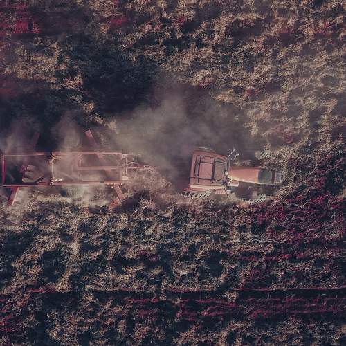 Photo #7113830