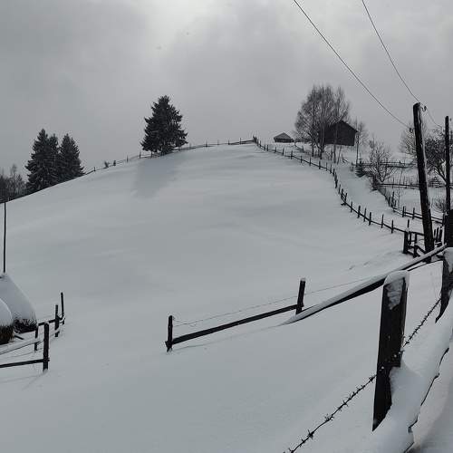 Photo #7113923