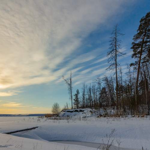 Photo #7114115