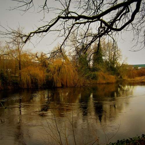 Photo #7114245