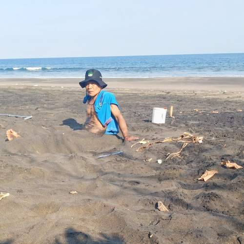 Photo #7114326
