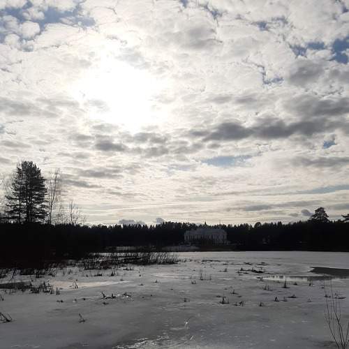 Photo #7114529