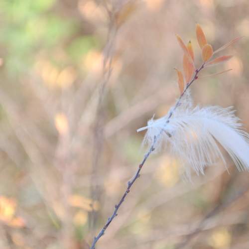Photo #7114706