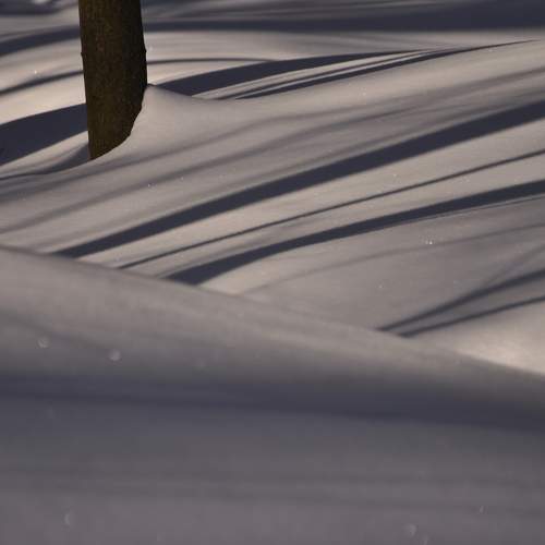 Фотография #7115206