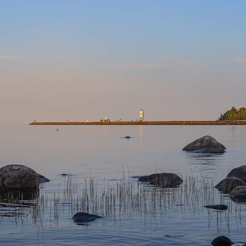 Photo #7115414