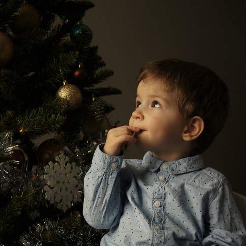 Photo #7115463