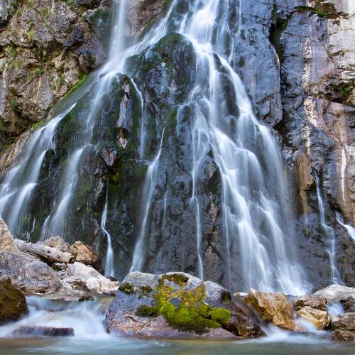 Photo #7115643