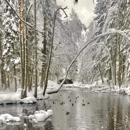 Photo #7115724