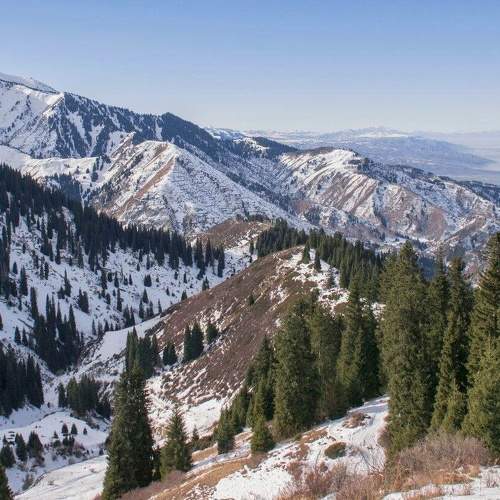 Photo #7115896