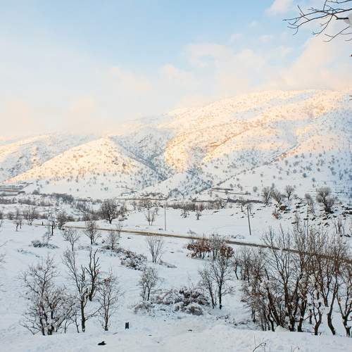 Photo #7116304