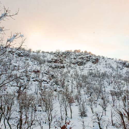 Photo #7116305