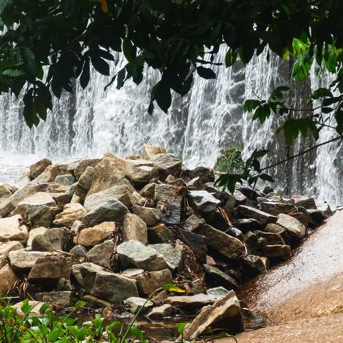 Photo #7116354