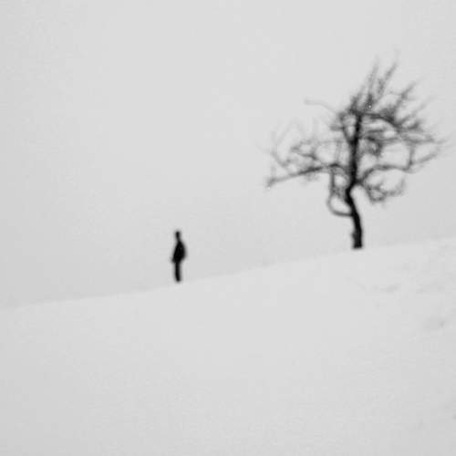 Фотография #7116903