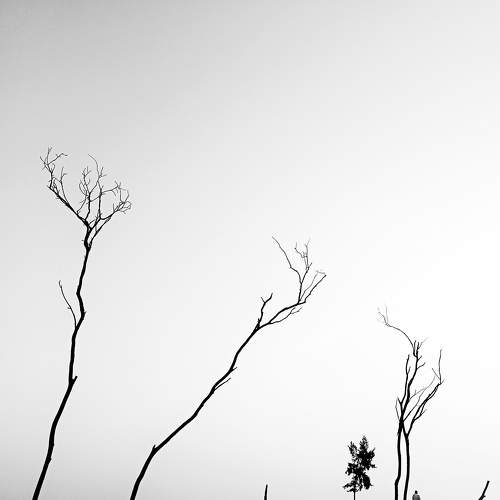 Hope
