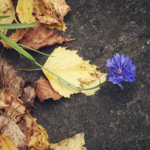 Photo #7117343