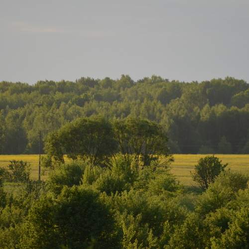 Photo #7117540