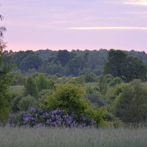 Photo #7117556