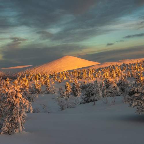 Photo #7117759