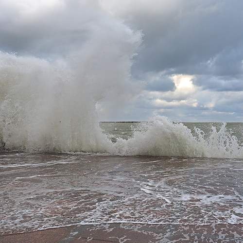 Photo #7117774