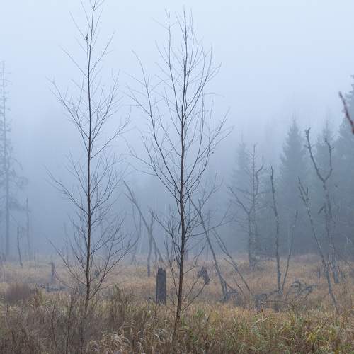 Photo #7117798