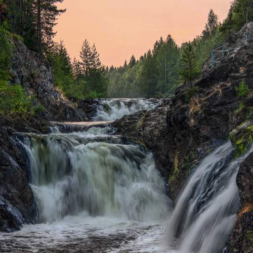Photo #7117945