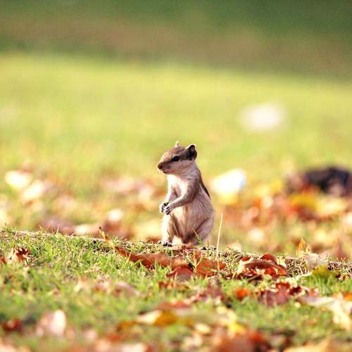 Photo #7117964