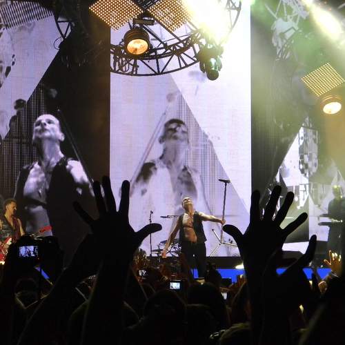 Photo #7118094