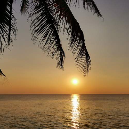 Photo #7118109