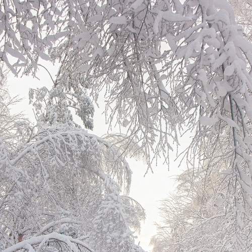 Photo #7118134