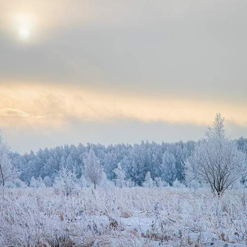 Photo #7118141