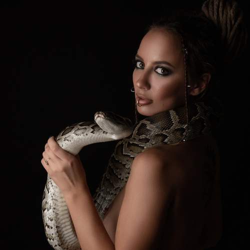 Photo #7118537