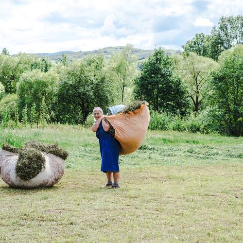 Photo #7118611