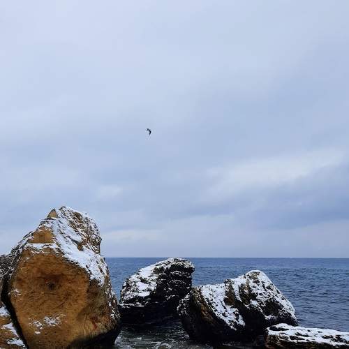 Photo #7118636