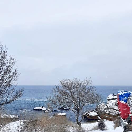 Photo #7118642
