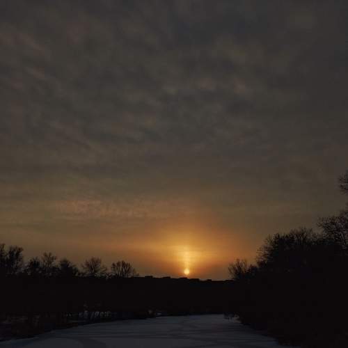 Photo #7119036