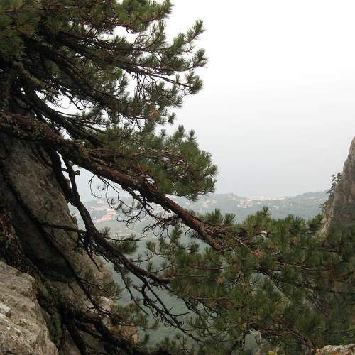 Photo #7119275