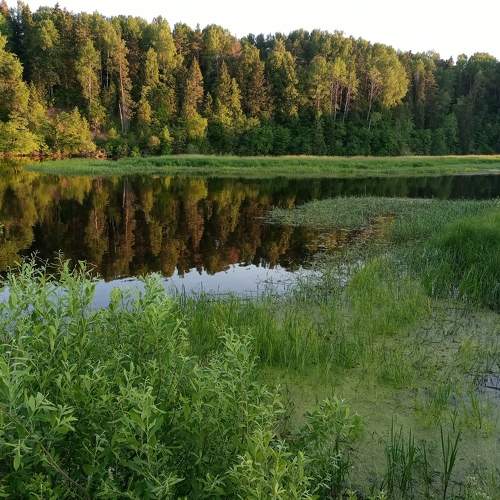 Photo #7119882