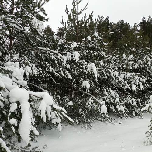 Photo #7120038