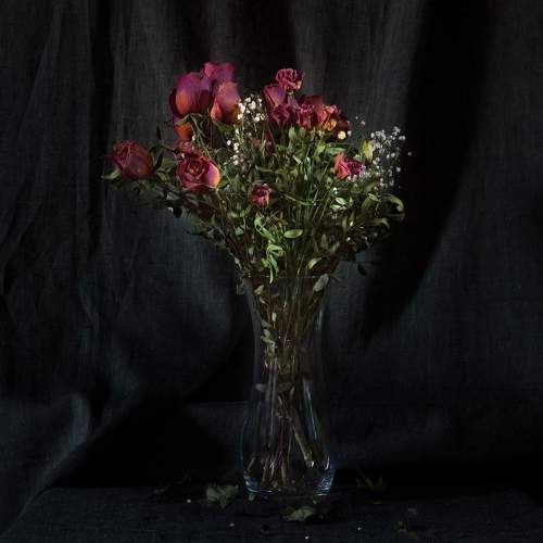 Photo #7120077