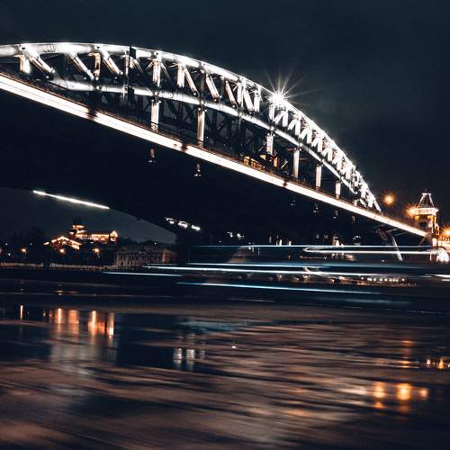 Photo #7120079