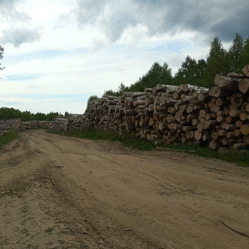 Photo #7120288