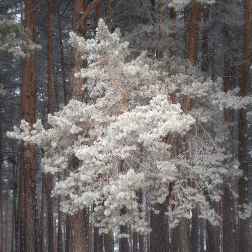 Photo #7120314