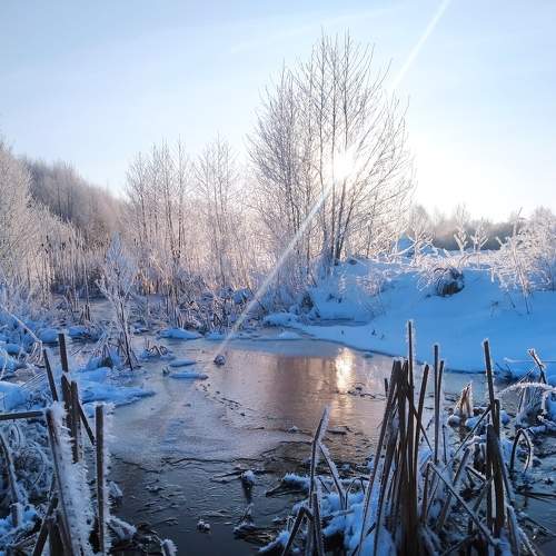 Photo #7120375