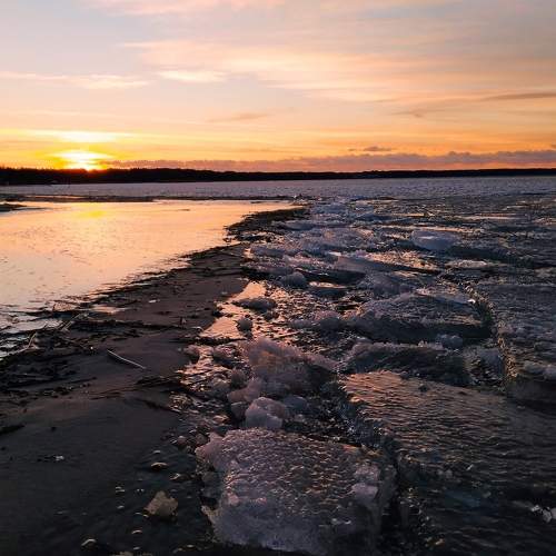 Photo #7120432