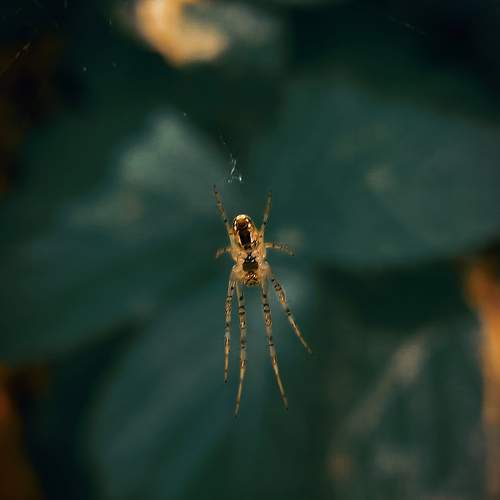 Photo #7120460