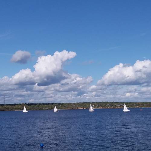 Photo #7120649