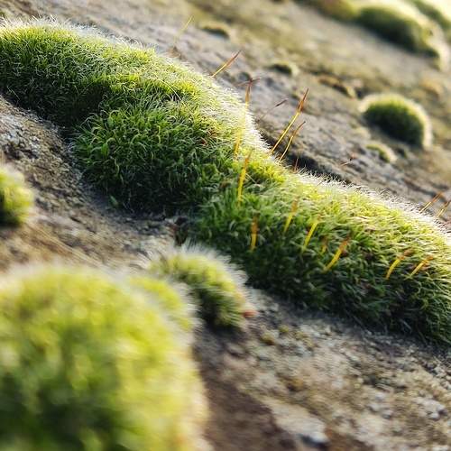 Photo #7120708